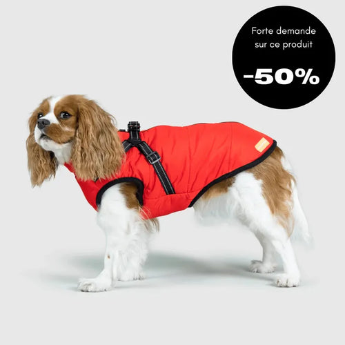 Veste d’hiver 2 en 1 pour chien