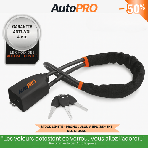 Antivol de sécurité pour voiture