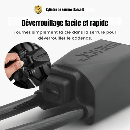 Antivol de sécurité pour voiture