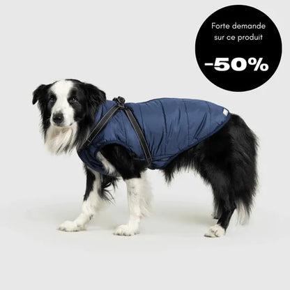 Veste d’hiver 2 en 1 pour chien